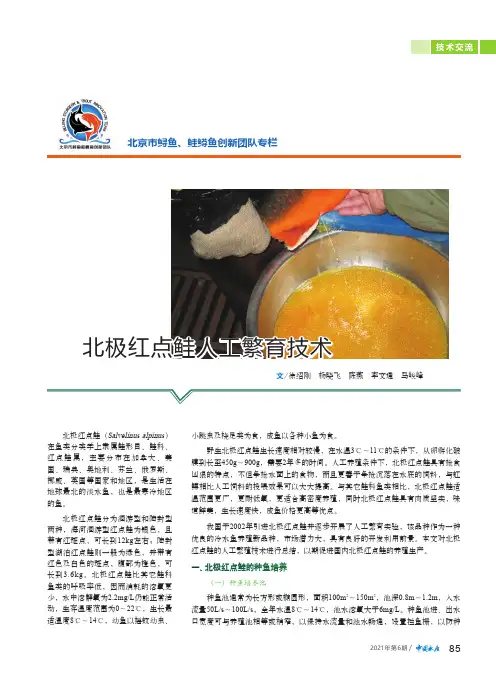 北极红点鲑人工繁育技术