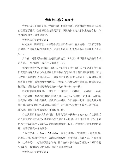青春初二作文800字