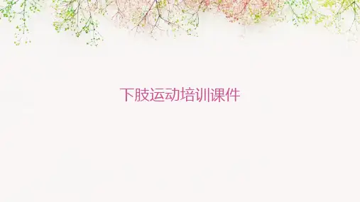 下肢运动培训课件