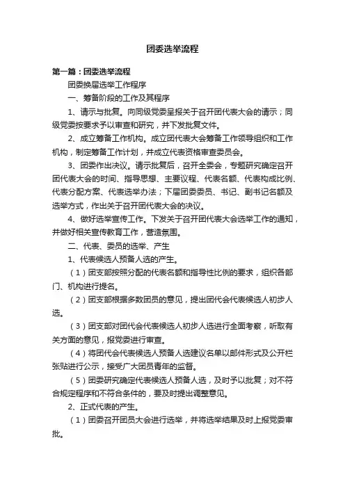 团委选举流程