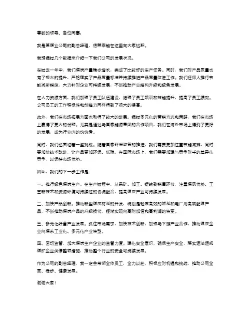 煤业公司副总经理述职报告