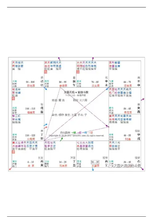 明极：紫微斗数案例解析(3)