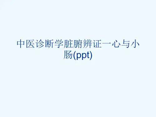 中医诊断学脏腑辨证一心与小肠(ppt)