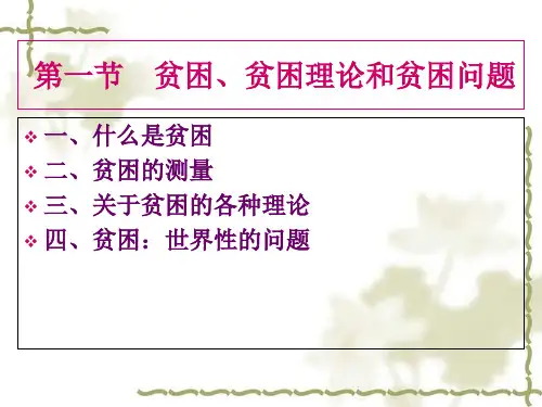 反贫困社会政策