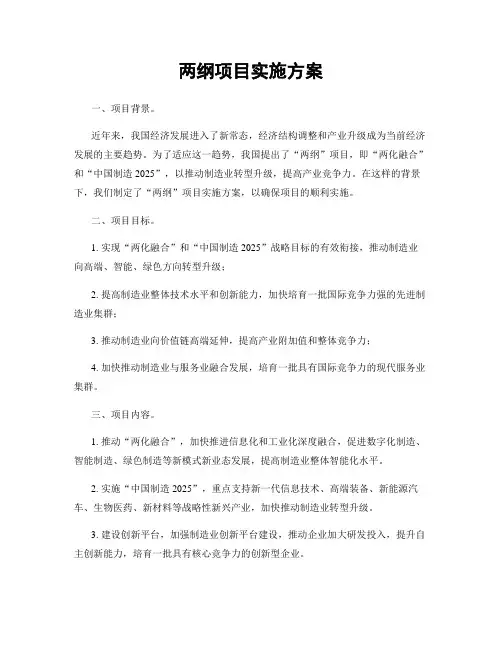 两纲项目实施方案