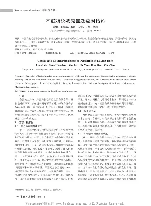 产蛋鸡脱毛原因及应对措施