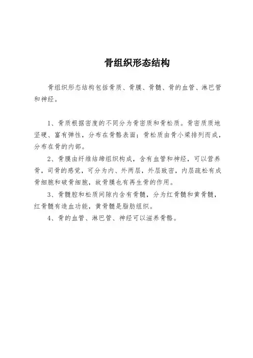 骨组织形态结构