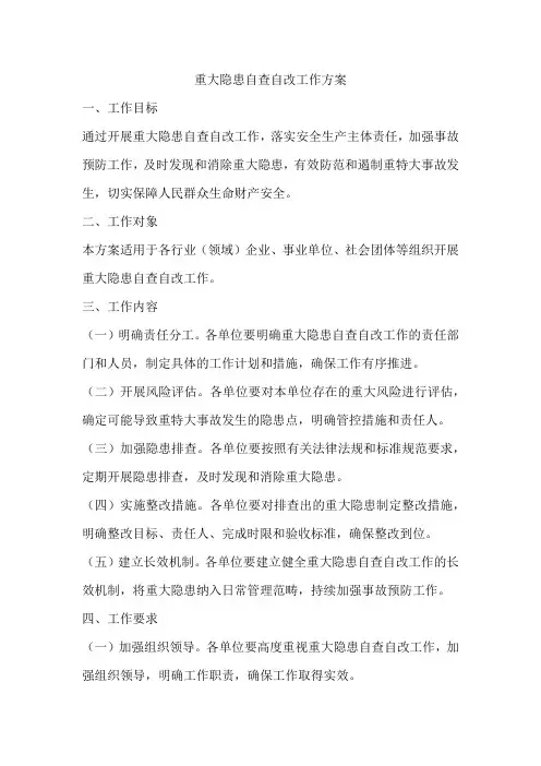 重大隐患自查自改工作方案