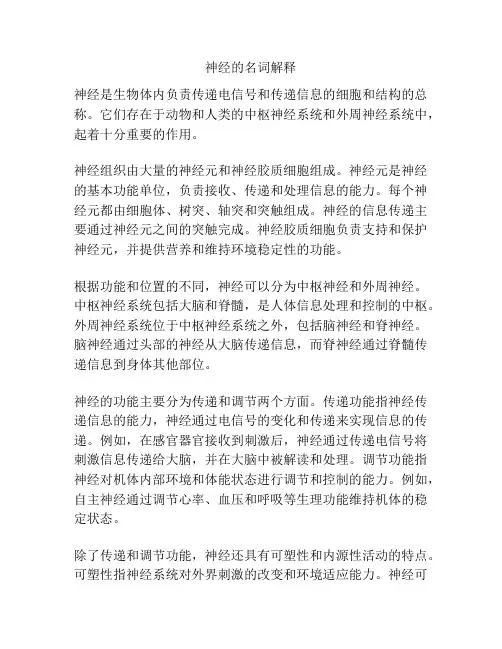 神经的名词解释