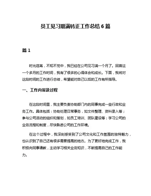 员工见习期满转正工作总结6篇