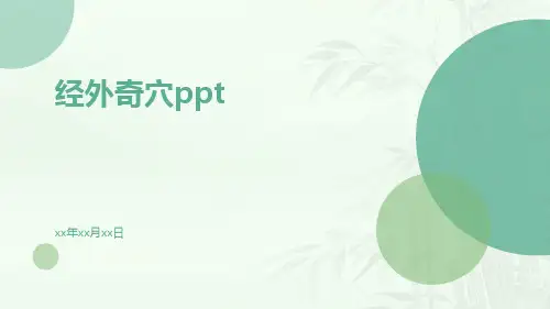 经外奇穴PPT