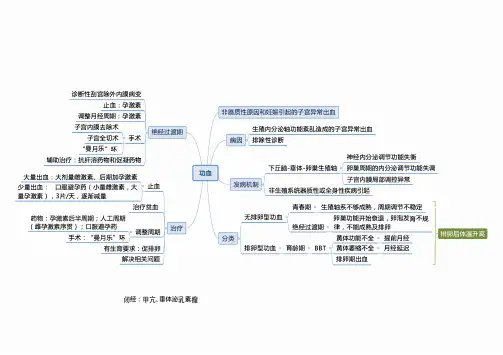 妇产科思维导图：功血