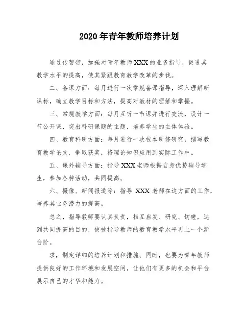 2020年青年教师培养计划