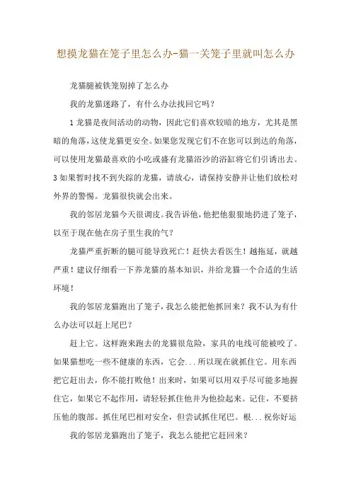 想摸龙猫在笼子里怎么办-猫一关笼子里就叫怎么办