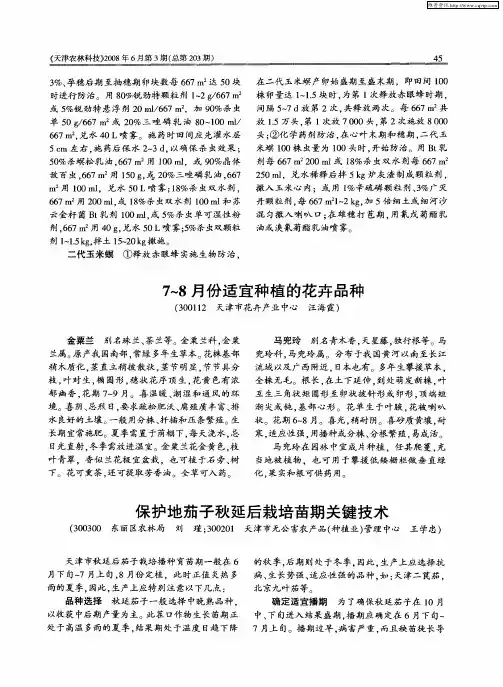 保护地茄子秋延后栽培苗期关键技术