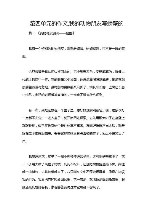 第四单元的作文,我的动物朋友写螃蟹的