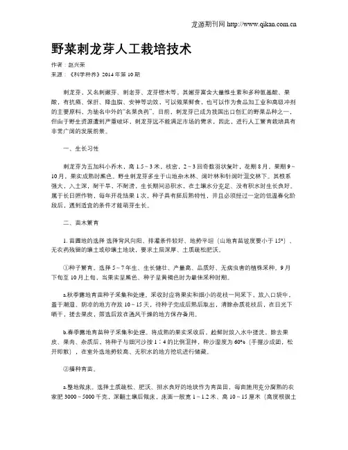 野菜刺龙芽人工栽培技术