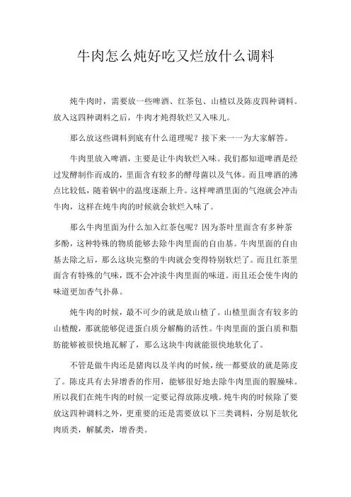 牛肉怎么炖好吃又烂放什么调料