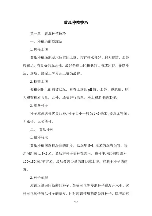 黄瓜种植技巧