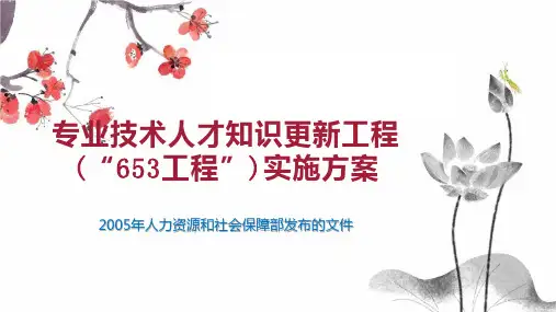 专业技术人才知识更新工程(“653工程”)实施方案