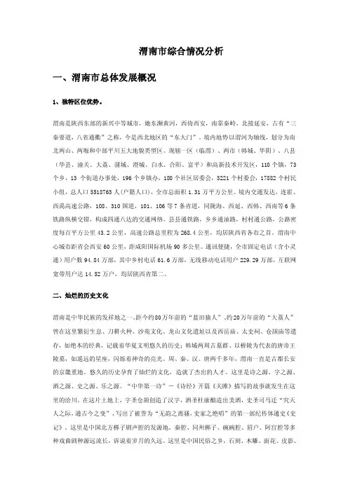 渭南市综合情况分析