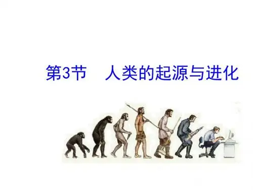 北师大版生物八年级下册7.21.3人类的起源与进化 课件(共30张PPT)