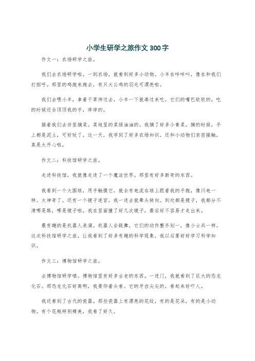 小学生研学之旅作文300字
