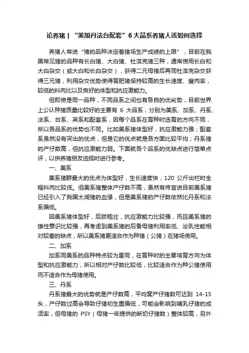 论养猪丨“美加丹法台配套”6大品系养猪人该如何选择