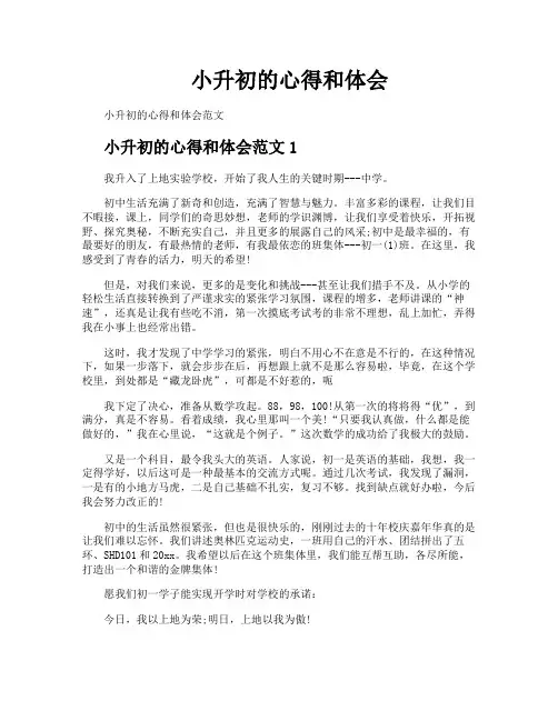 小升初的心得和体会