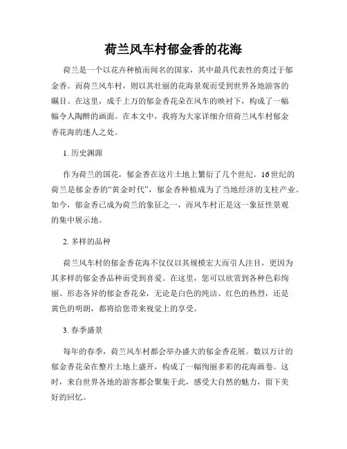 荷兰风车村郁金香的花海