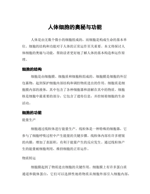人体细胞的奥秘与功能