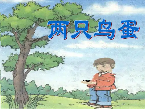 两只鸟蛋第一课时PPT课件