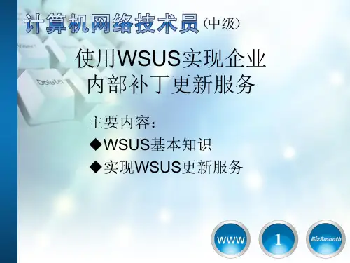 使用WSUS实现企业内部补丁更新服务-PowerPoin