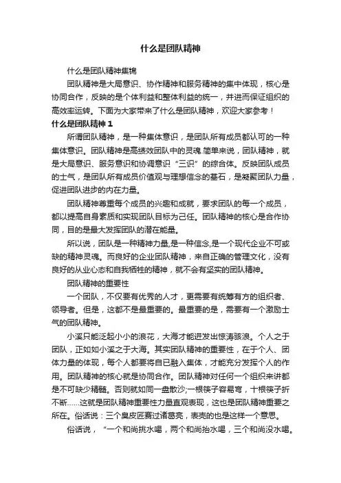 什么是团队精神
