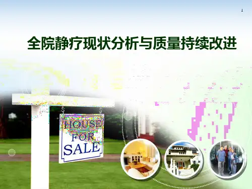 全院静疗现状分析与持续改进要求ppt课件