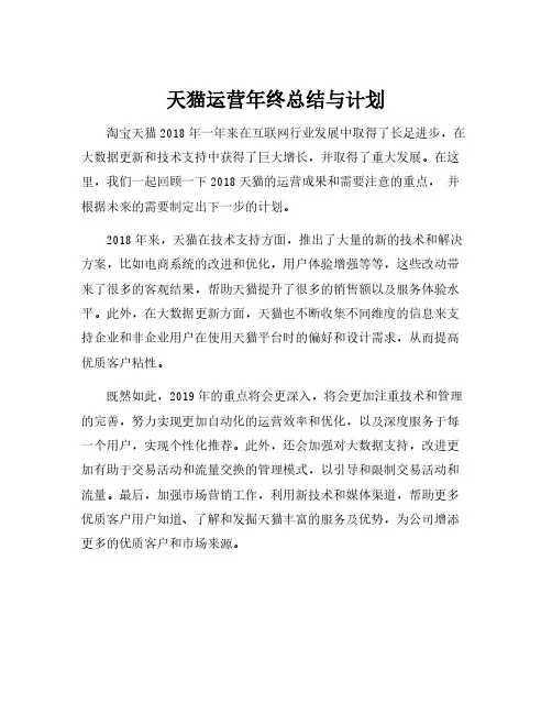 天猫运营年终总结与计划
