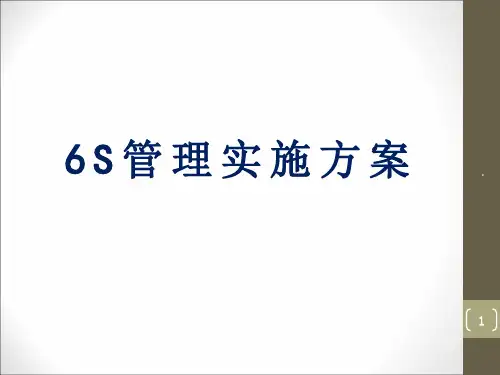 6s实施方案ppt课件