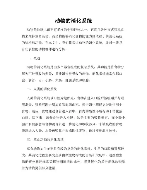 动物的消化系统