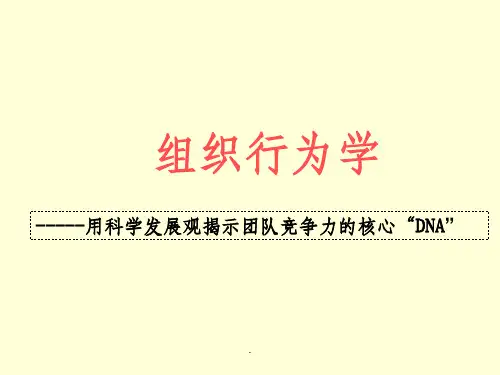 《组织行为学讲义》