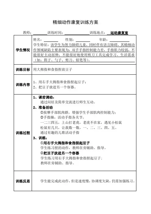特殊教育-精细动作康复训练方案(三)
