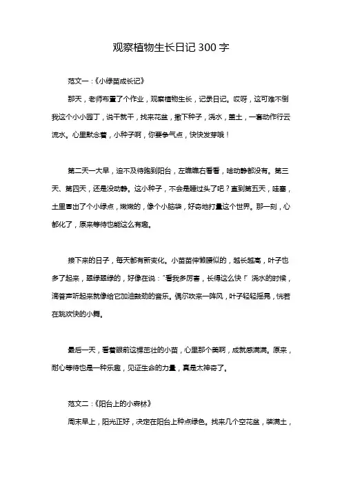观察植物生长日记300字