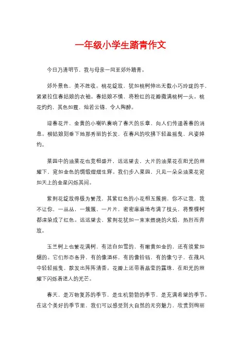 一年级小学生踏青作文