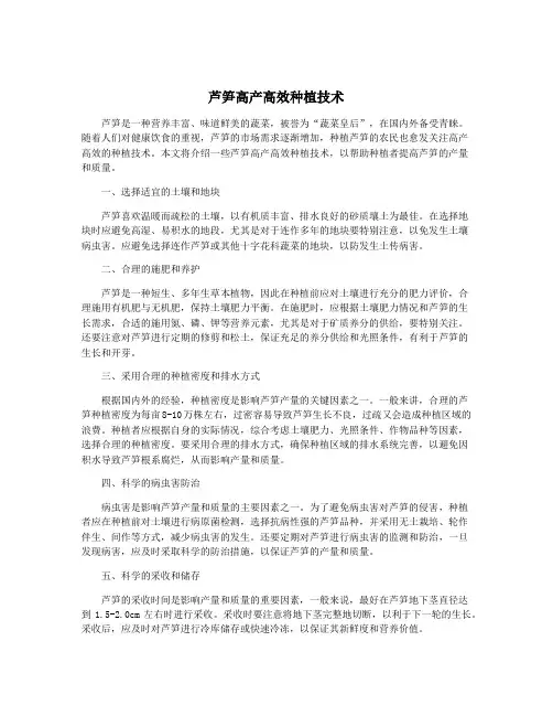 芦笋高产高效种植技术