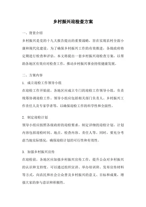 乡村振兴迎检查方案