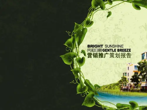 晟基顾问-青岛开发区风和日丽营销推广策划报告-127页