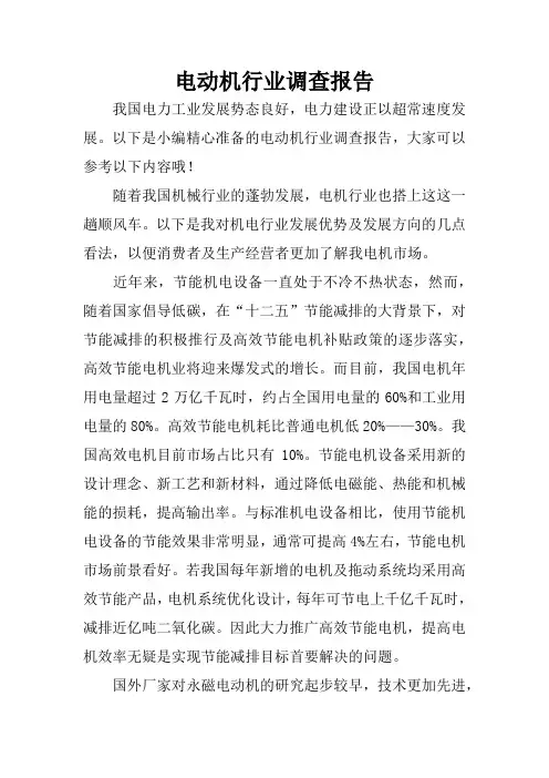 电动机行业调查报告