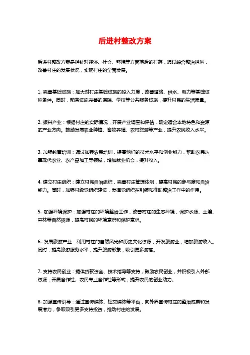 后进村整改方案
