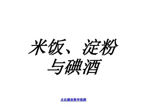 米饭淀粉和碘酒的变化