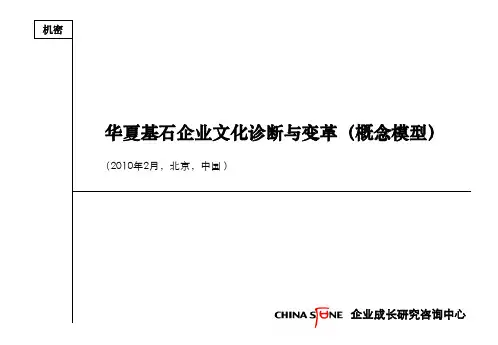文化诊断