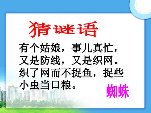 19蜘蛛织网精品PPT课件